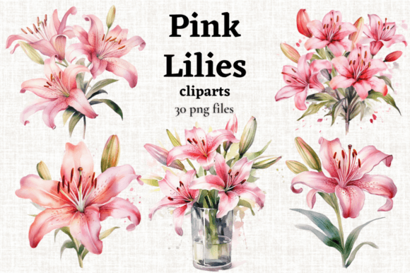 Download Pink Tiger Lily Clipart, Pink Lilies PNG - Pink Collection